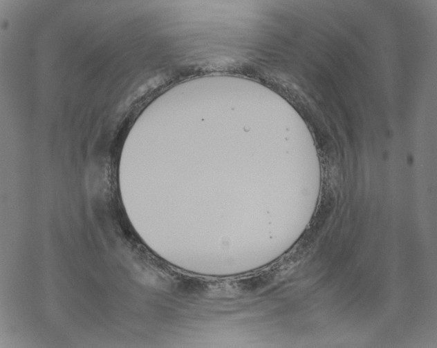 X0000067930591200605112036
