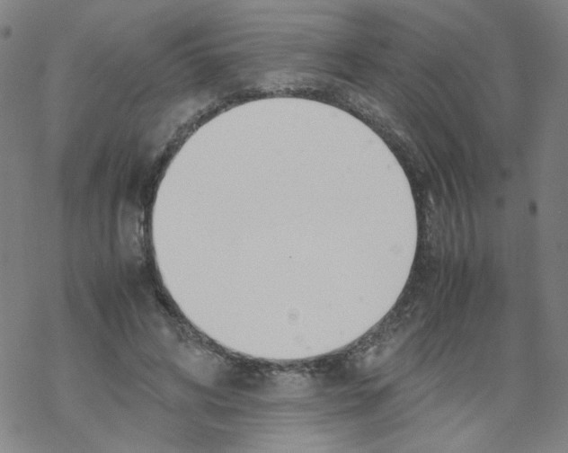 X0000067930592200605112036