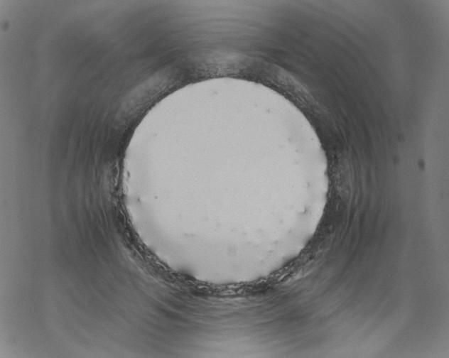 X0000067930594200605112036