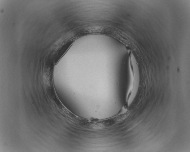 X0000067930604200605112036