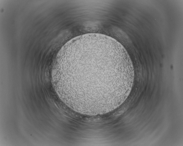 X0000067930606200605112036