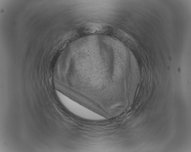 X0000067930607200605112036