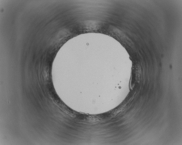X0000067930608200605112036