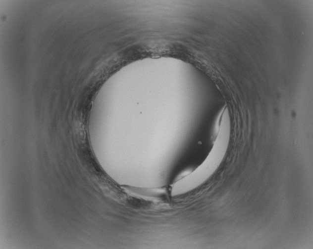 X0000067930609200605112036