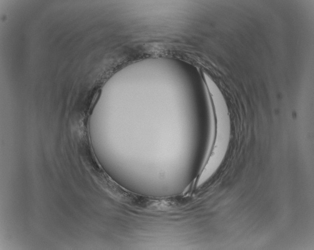 X0000067930611200605112036