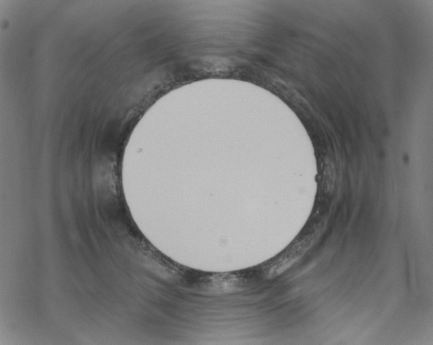X0000067930612200605112036