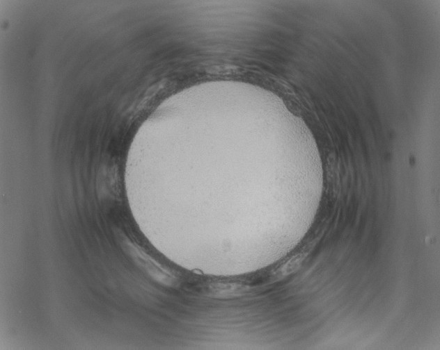 X0000067930614200605112036