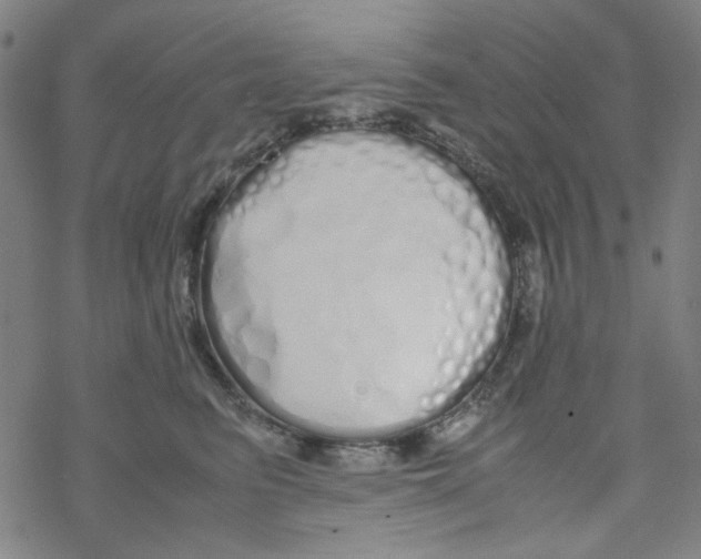 X0000067930615200605112035