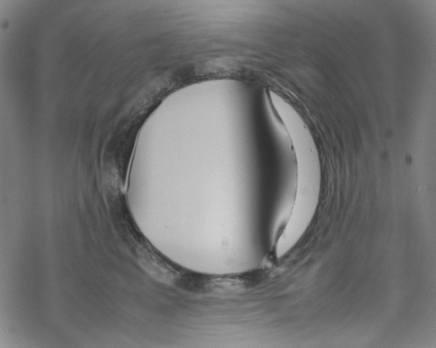 X0000067930617200605112035