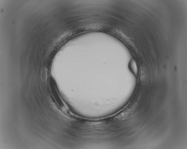 X0000067930637200605112035