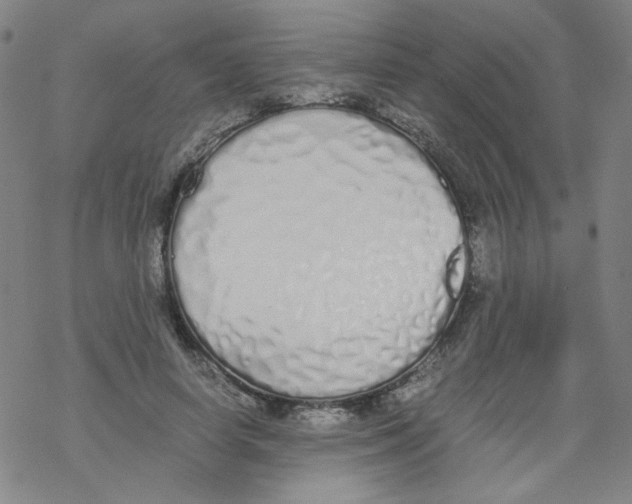X0000067930642200605112035