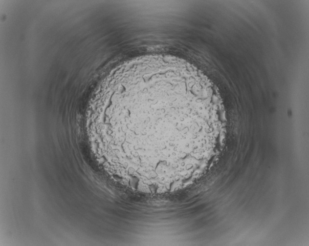 X0000067930650200605112035