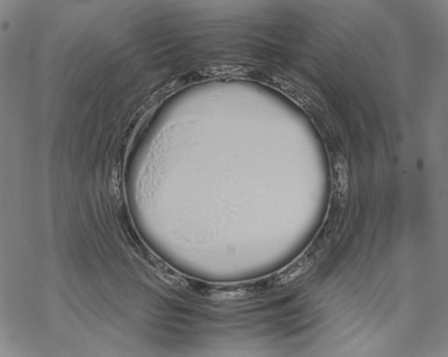 X0000067930653200605112035