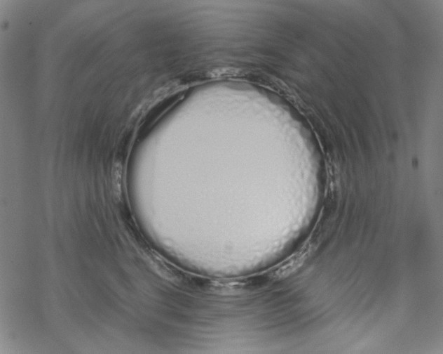 X0000067930664200605112035
