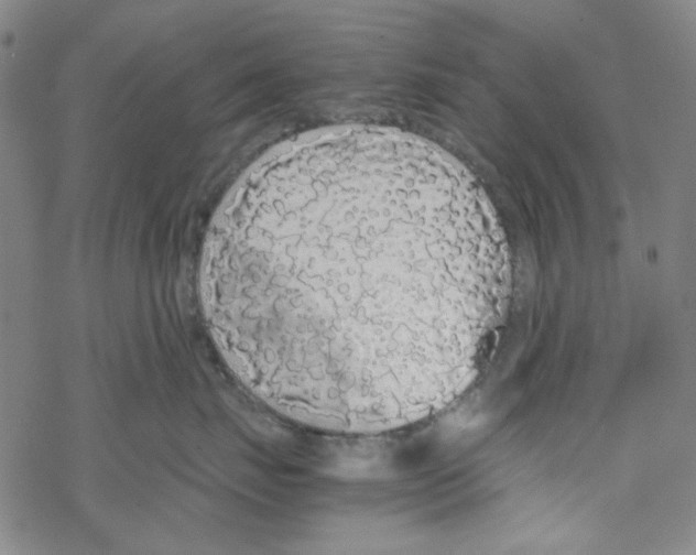 X0000067930671200605112035