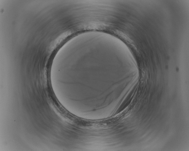 X0000067930678200605112034