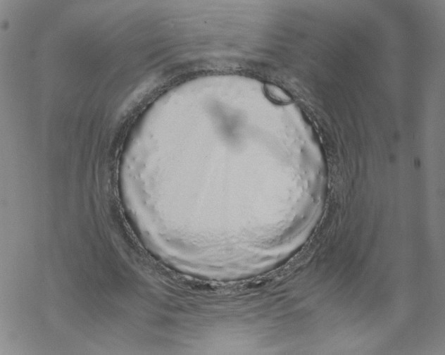 X0000067930679200605112034