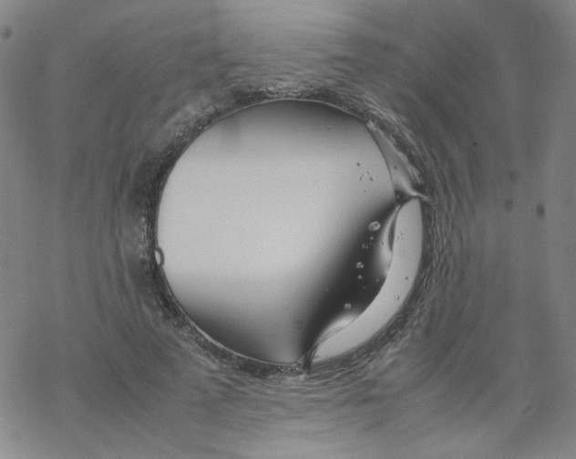 X0000067930689200605112034