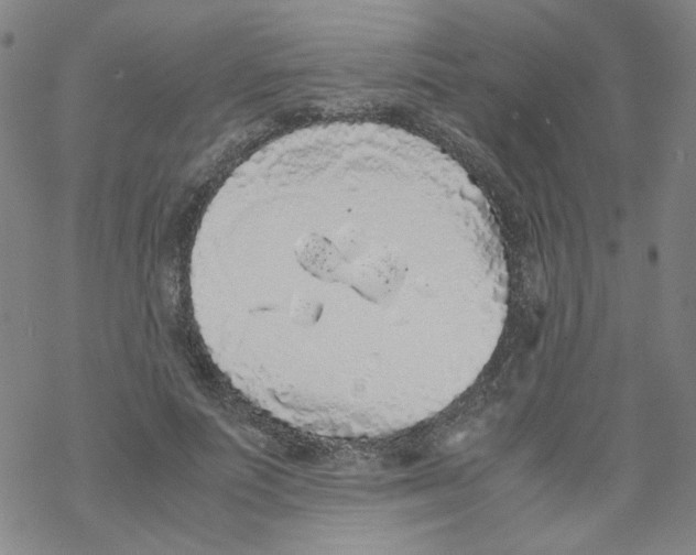X0000067930691200605112034
