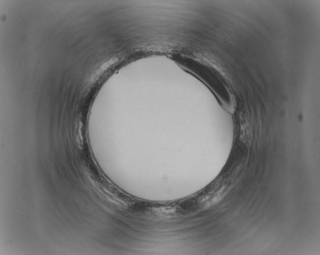 X0000067930692200605112034
