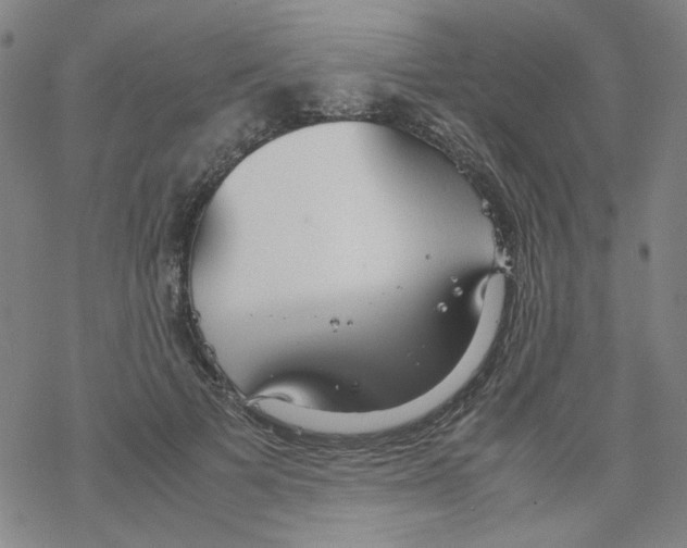 X0000067930697200605112034
