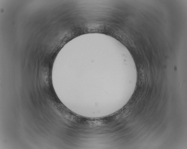 X0000067930698200605112034