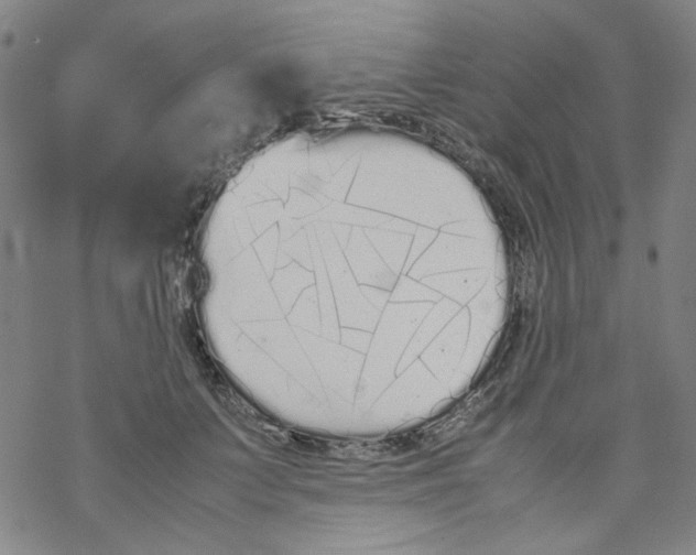 X0000067930703200605112034