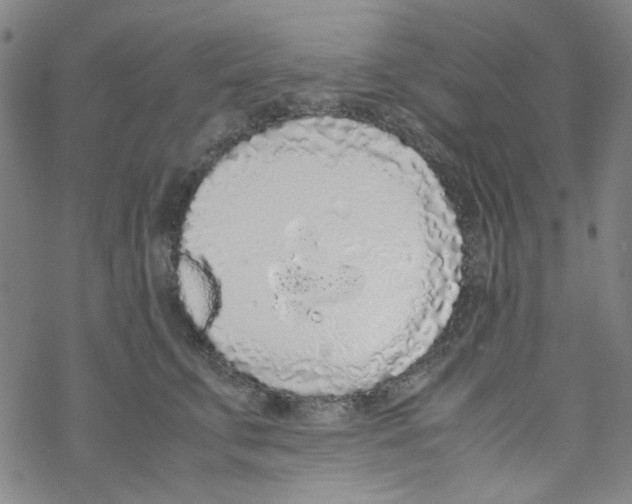X0000067930711200605112034