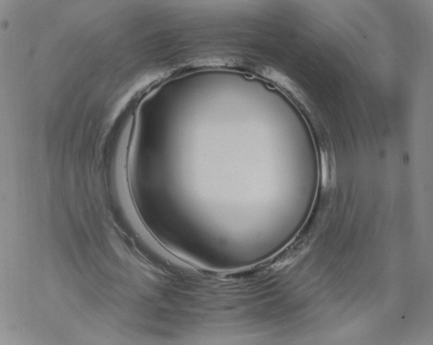 X0000067930723200605112033