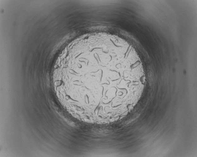 X0000067930729200605112033