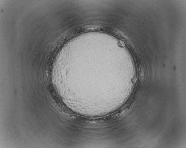 X0000067930737200605112033