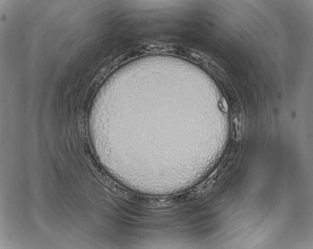 X0000067930753200605112034