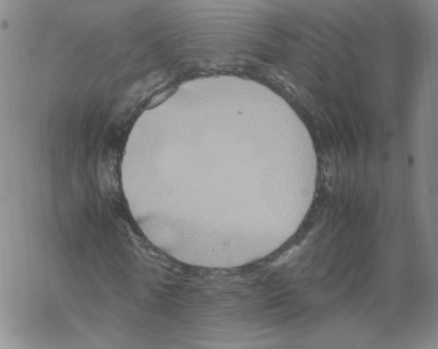 X0000067930770200605112033