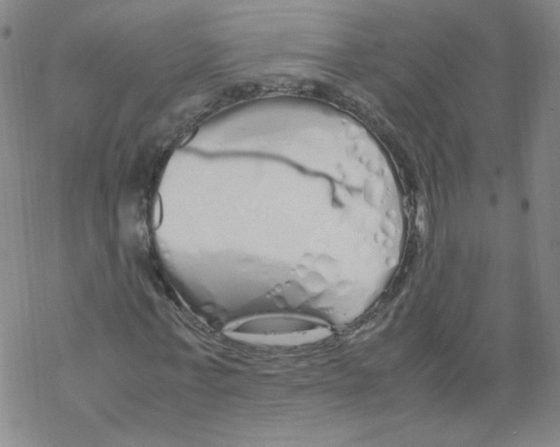 X0000067930771200605112033