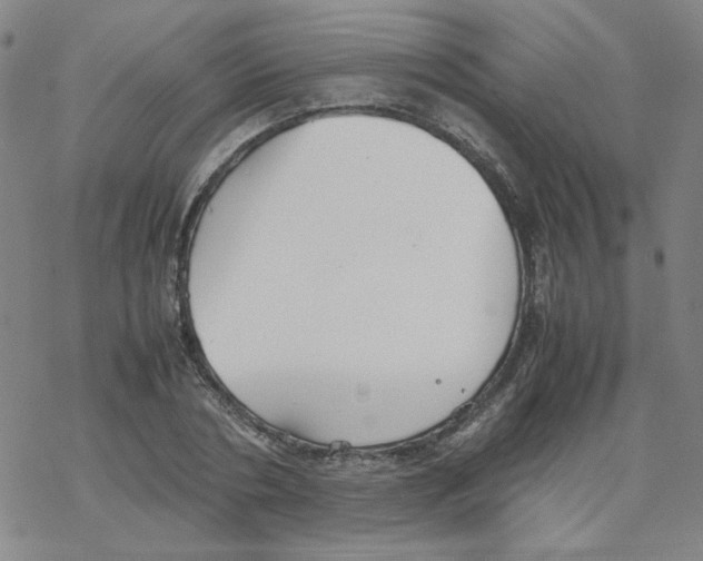 X0000067930786200605112033