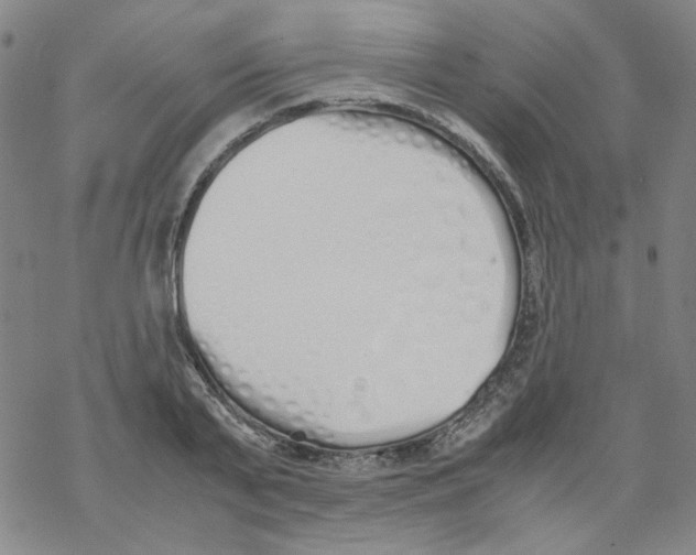 X0000067930791200605112033