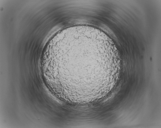 X0000067930798200605112032