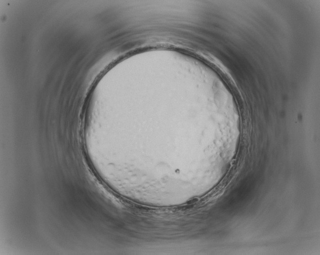 X0000067930799200605112032