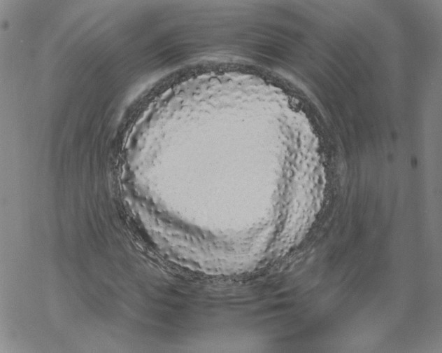 X0000067930823200605112032