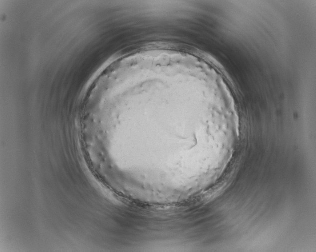 X0000067930859200605112032