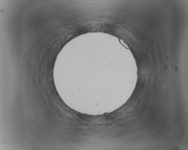 X0000067930865200605112031