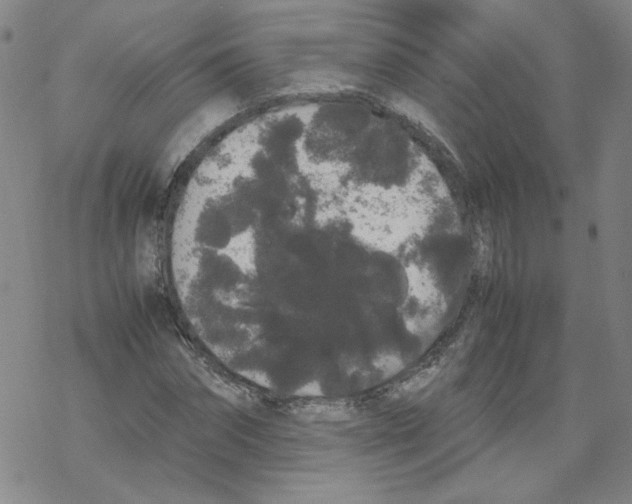 X0000067930874200605112031