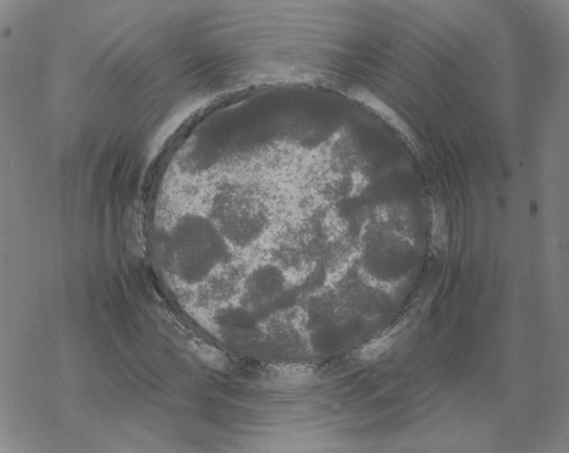 X0000067930878200605112031