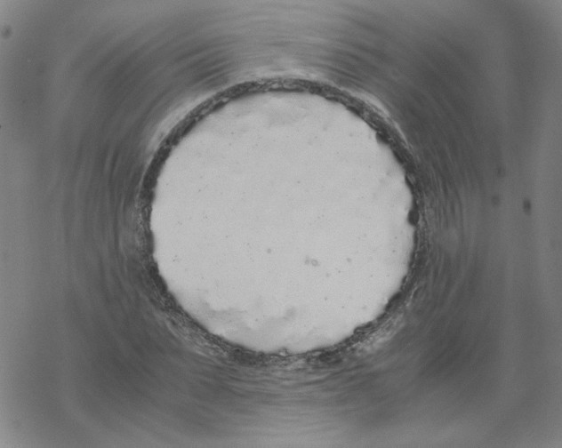 X0000067930879200605112031