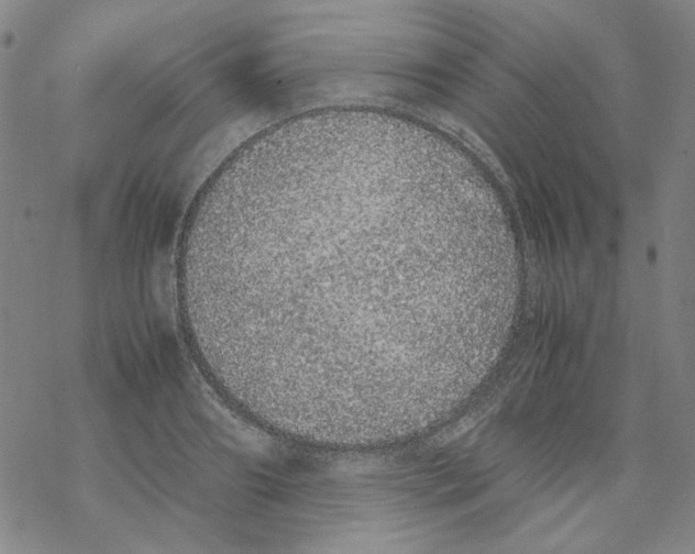 X0000067930890200605112031