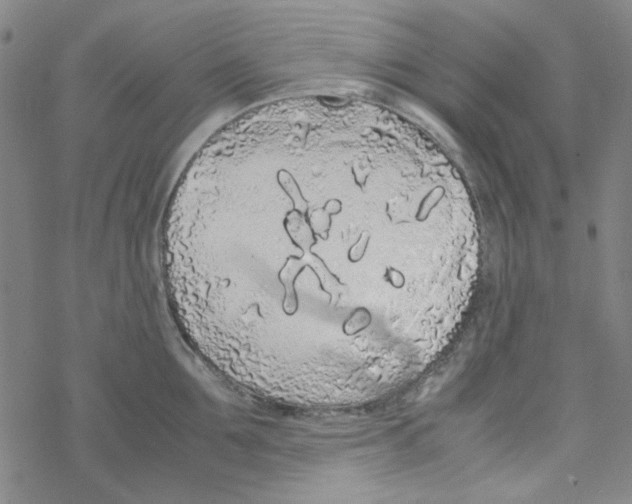 X0000067930907200605112031