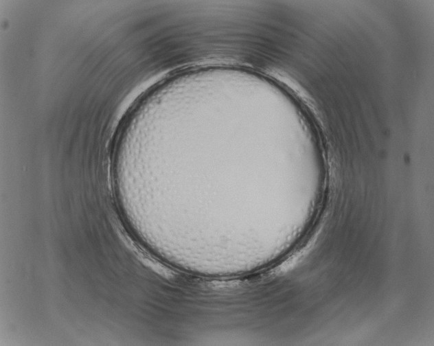 X0000067930933200605112030