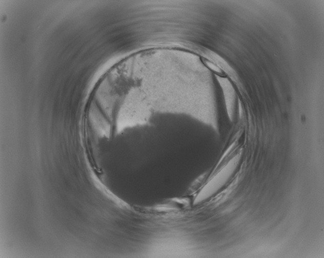X0000067930958200605112030