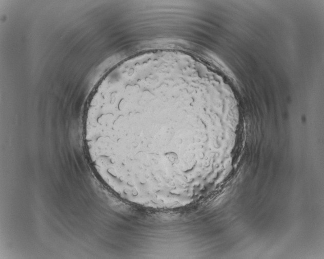 X0000067930994200605112029