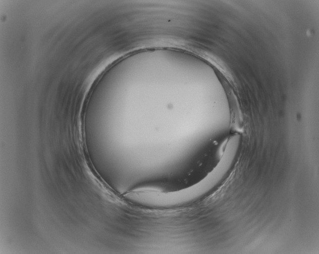 X0000067930996200605112029